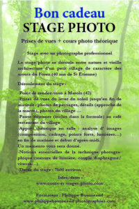bon cadeau stage photo St Etienne