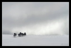 photo de Haute-Loire. Cours de photographie