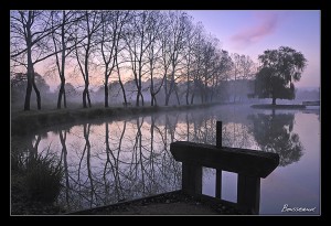 photo de Sologne (vers Orléans) cours de photographie