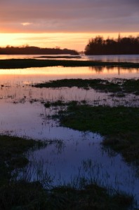 Photo bord de Loire. apprendre la photo, c'est aussi apprendre les cadrages