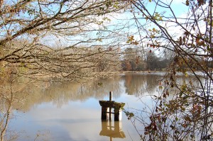 Etang solognot. Une journée de stage photo pour apprendre la photo