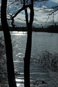 photo en contre jour. photo de Sologne pendant un stage photo