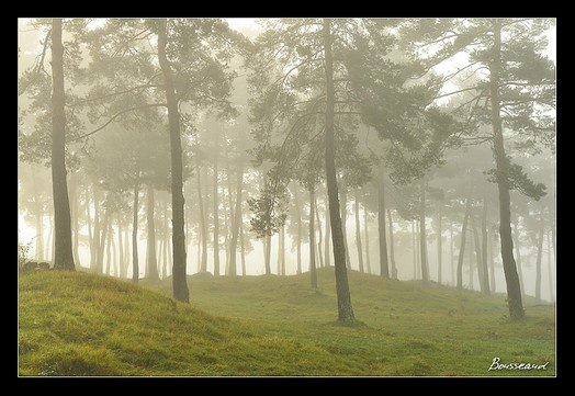 stages photo Auvergne