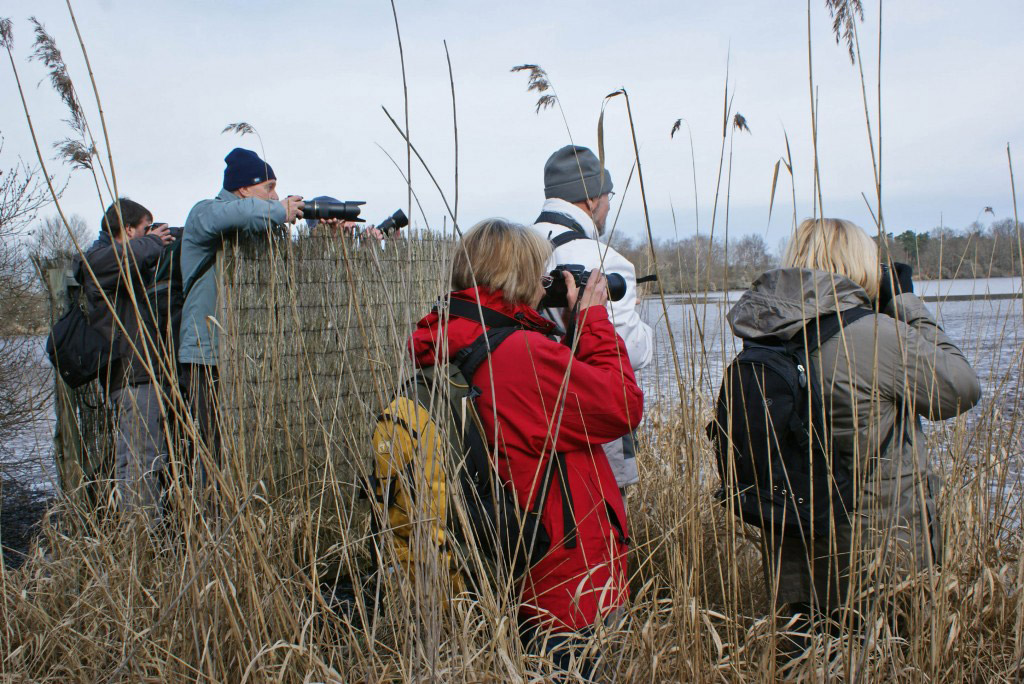 cours photographie