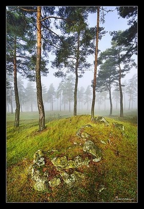 stages photo Auvergne