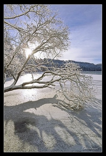 cours photo Auvergne