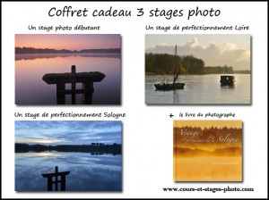 bon cadeau stage photo