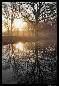 stage photo Rouen 76 (photo de nature)