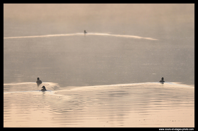 Cours photo Rouen