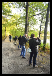 stage débutant Sologne : avis stage photo