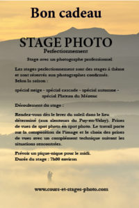 bon cadeau cours photo Auvergne