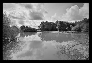 cours photo Tours