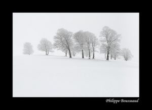 cours photo Auvergne