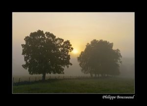 cours photographie Auvergne