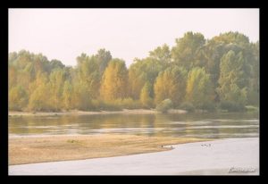 cours photo Orleans