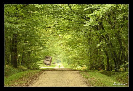 cours photo Orleans