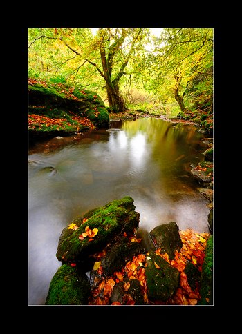 cours photographie Auvergne