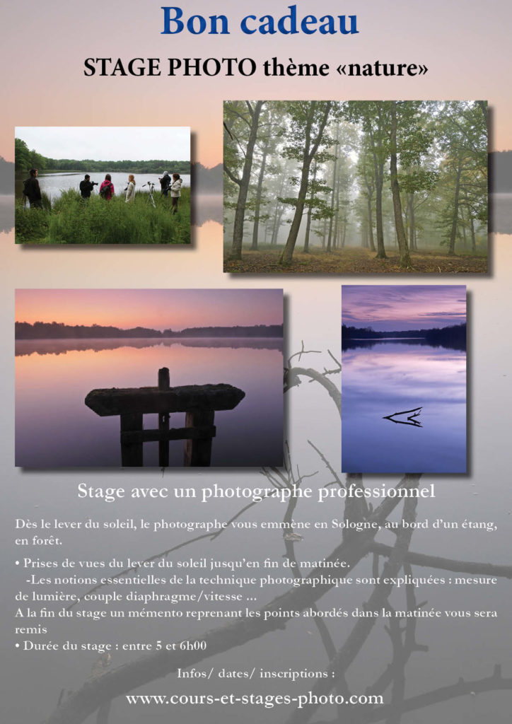 Bon cadeau « Mini stage de tournage » adulte