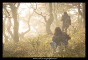 ambiance féérique en Haute-Loire