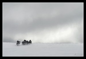 photo de Haute-Loire