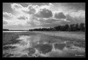 photo bords de Loire